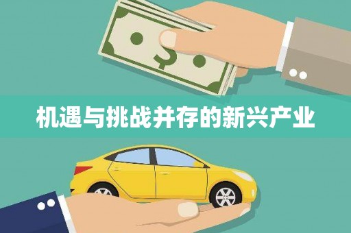 石排机遇与挑战并存的新兴产业