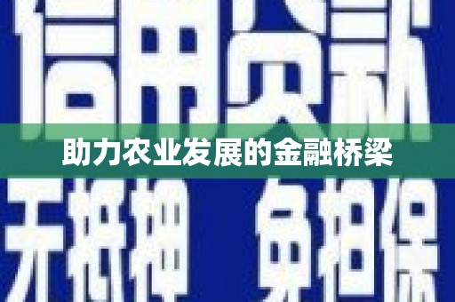 石排助力农业发展的金融桥梁