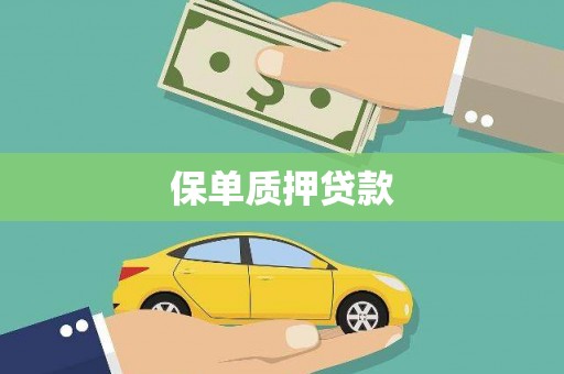 石排保单质押贷款