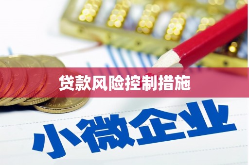 石排贷款风险控制措施