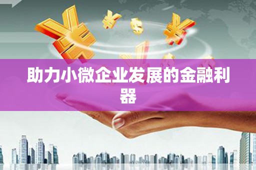 石排助力小微企业发展的金融利器