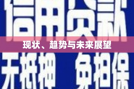 石排现状、趋势与未来展望