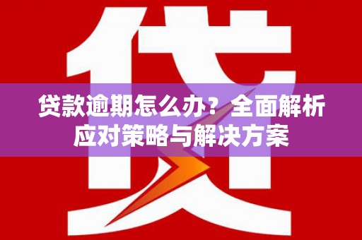 石排贷款逾期怎么办？全面解析应对策略与解决方案