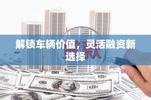 石排解锁车辆价值，灵活融资新选择