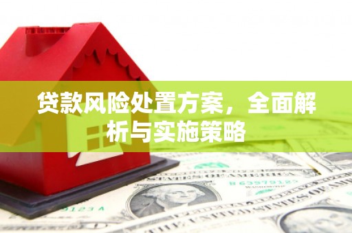 石排贷款风险处置方案，全面解析与实施策略