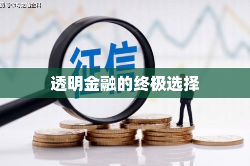 石排透明金融的终极选择