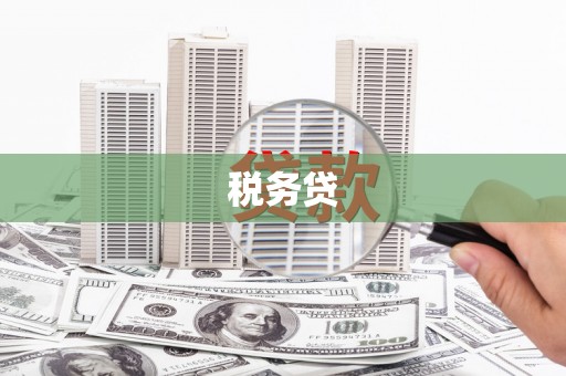 石排税务贷