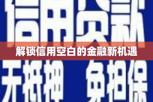 石排解锁信用空白的金融新机遇