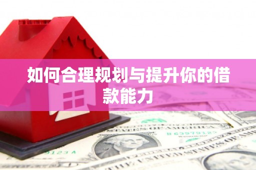 石排如何合理规划与提升你的借款能力