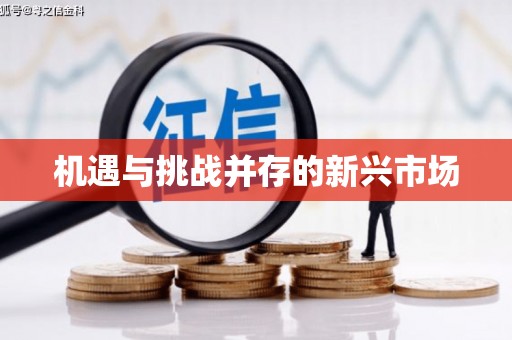 石排机遇与挑战并存的新兴市场