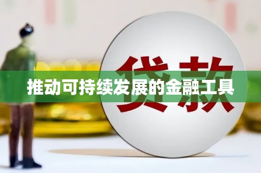 石排推动可持续发展的金融工具