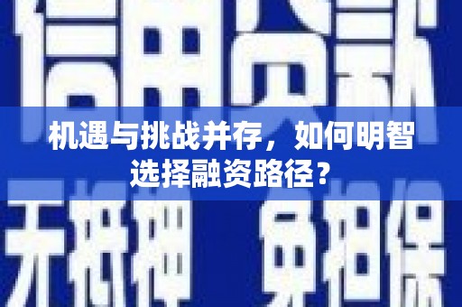 石排机遇与挑战并存，如何明智选择融资路径？