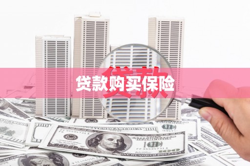 石排贷款购买保险