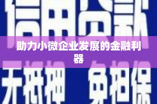 石排助力小微企业发展的金融利器