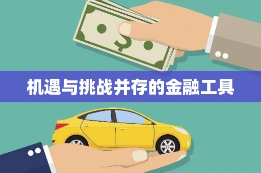 石排机遇与挑战并存的金融工具