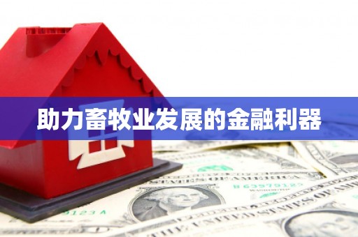 石排助力畜牧业发展的金融利器