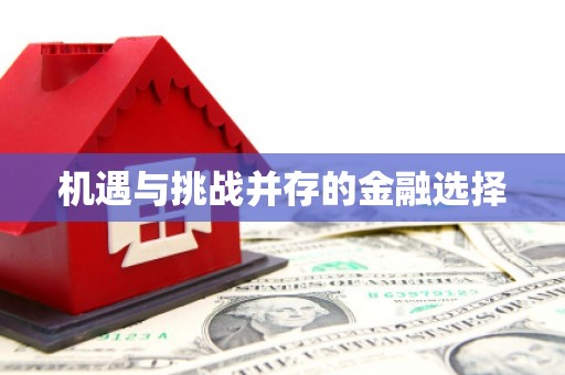 石排机遇与挑战并存的金融选择