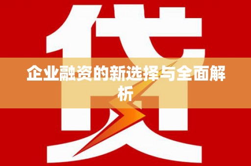 石排企业融资的新选择与全面解析