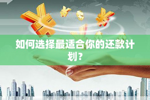 石排如何选择最适合你的还款计划？