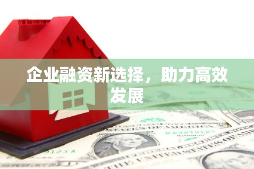 石排企业融资新选择，助力高效发展