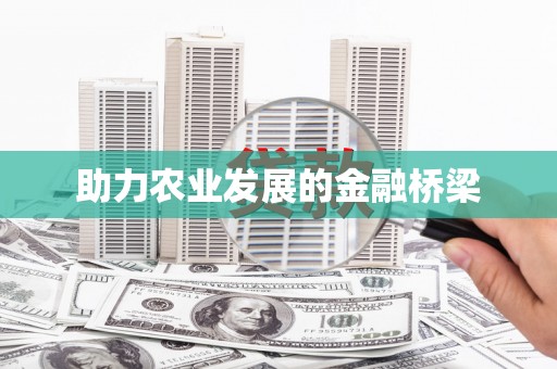 石排助力农业发展的金融桥梁