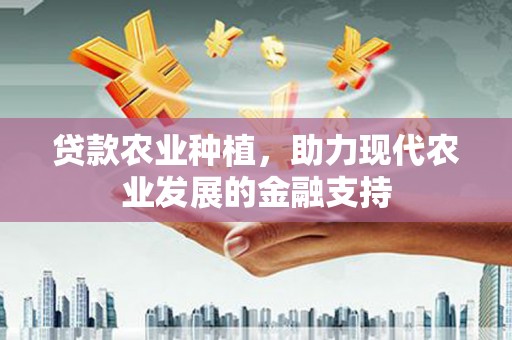 石排贷款农业种植，助力现代农业发展的金融支持
