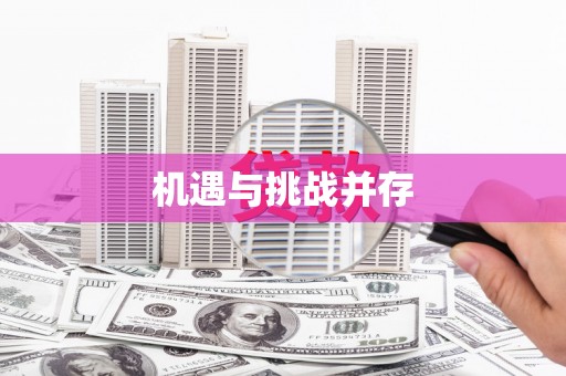 石排机遇与挑战并存