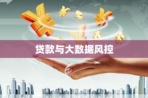 石排贷款与大数据风控