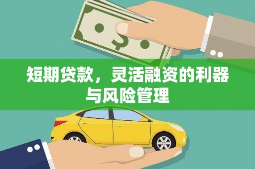 石排短期贷款，灵活融资的利器与风险管理