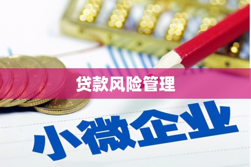 石排贷款风险管理